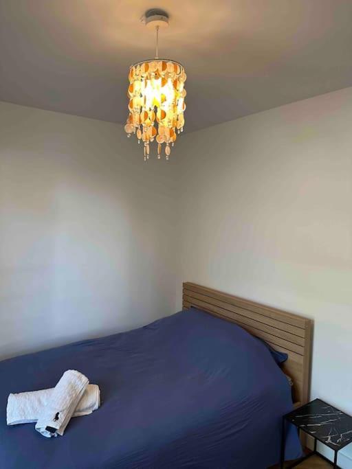 Charmant T3 Moderne Climatise Villeurbanne Esterno foto