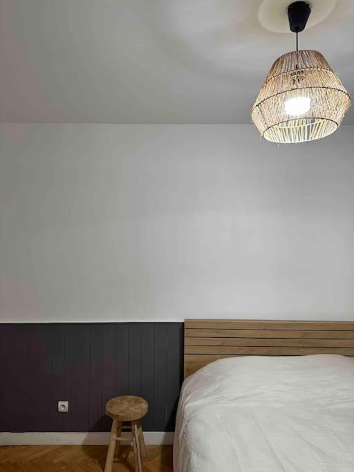 Charmant T3 Moderne Climatise Villeurbanne Esterno foto
